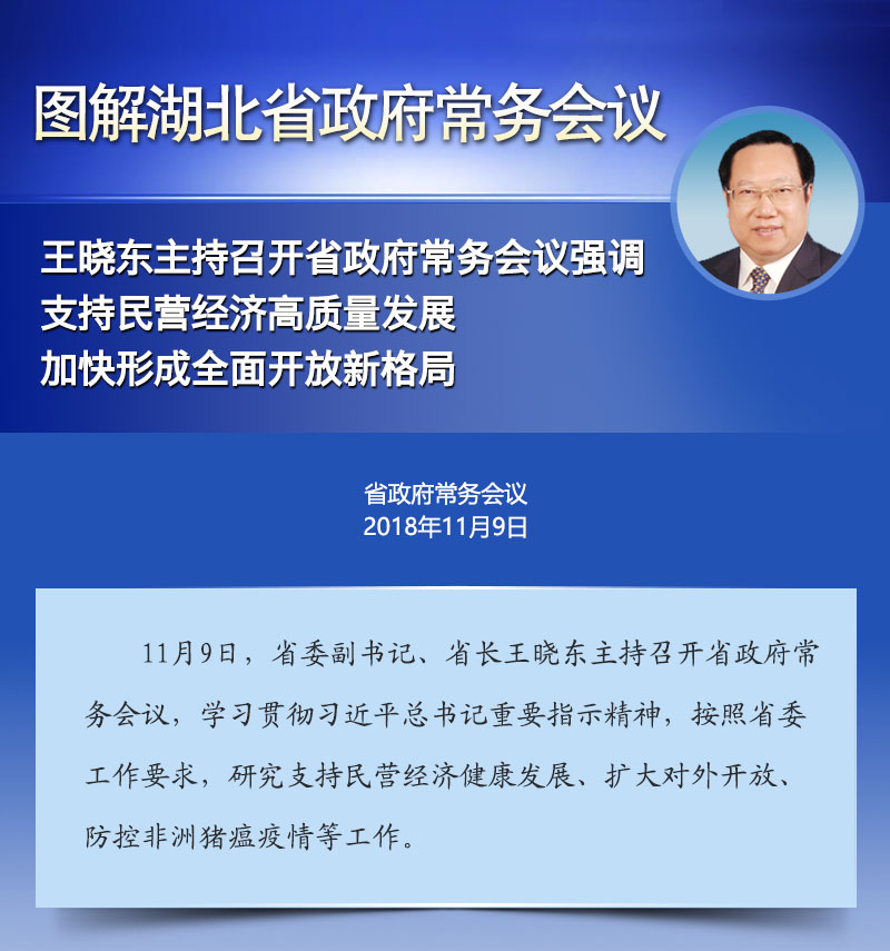 2018年11月9日湖北省政府常务会议解读
