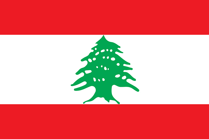黎巴嫩税收政策