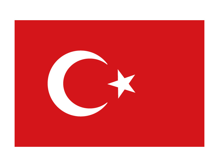 土耳其总理称赞“一带一路”是密切商业联系的典范