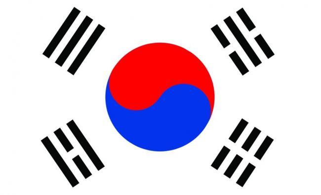 习近平同韩国总统文在寅举行会谈