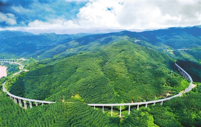 融入“一带一路”的云南企业