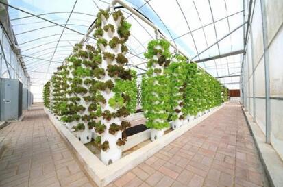 浦东新区农业产业化重点龙头企业认定管理办法