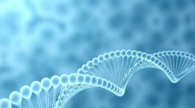 武汉东湖新技术开发区生物军团：十年孵育世界级产业集群