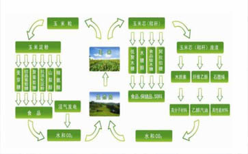 玉米全产业链战略合作在吉林启动