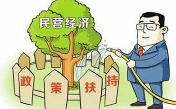 江西省民营企业最新政策扶持与政府补贴