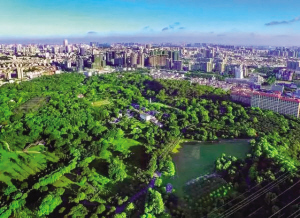 绿化面积3万亩 津城森林覆盖率将达到55%以上