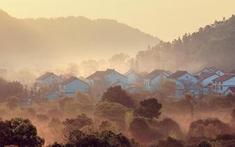 在梨花芬芳的日子里 树山村人的眼中为何总是饱含幸 