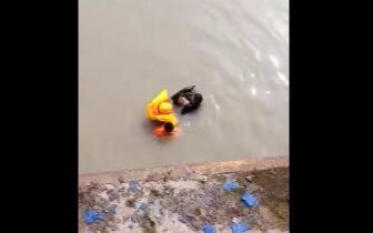 苏州一消防队员因救援轻生女子牺牲 年仅22岁