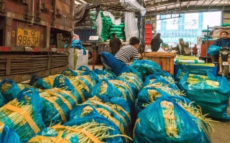 年交易农产品256万吨 南环桥市场上榜全国500强