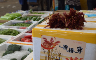 “香椿自由”取代“车厘子自由” 香椿头没那么贵