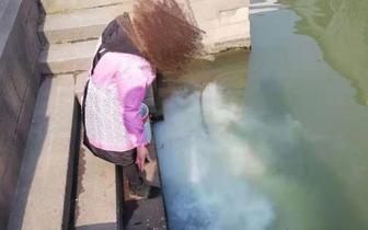 茶馆工作人员在山塘河里清洗油漆桶被重罚