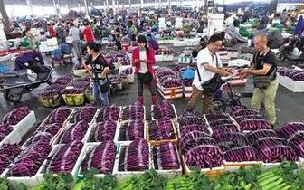 苏州最大“菜篮子”南环桥市场年交易256万吨