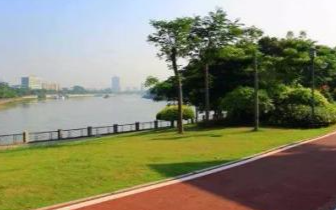 顾村公园人太多？上海670公里绿道走一走