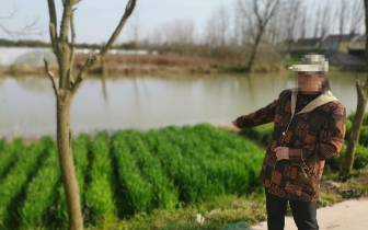 崇明禁渔期将持续3个月 警方严打非法捕捞