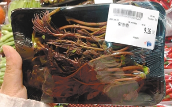 和波士顿龙虾平起平坐 香椿凭啥这么“金贵”