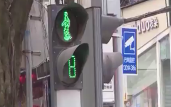 行人闯红灯被撞伤 皮肉受苦还需担责