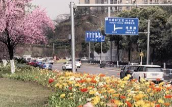 今晚迎来今年首场大雨 后天大部地区或返“冬”