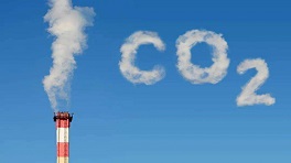 加快推动非化石能源发展 双碳工作将纳入央企考核
