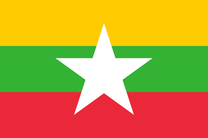 缅甸禁止外企投资项目